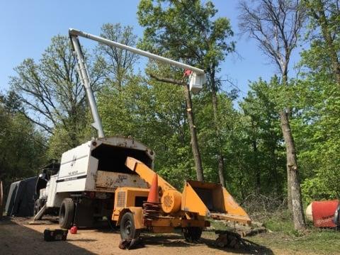 Good Fellers Tree Care