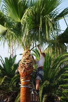 Thornley's Affordable Home Service