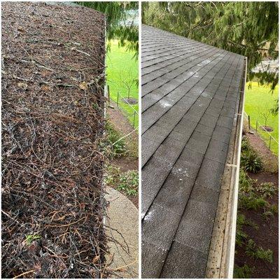 New Generation Cleans