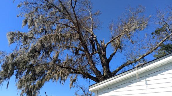 Gainey's Yard Services