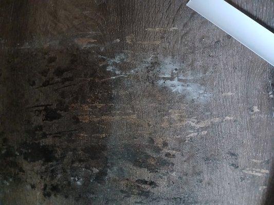 My desk runined by mold