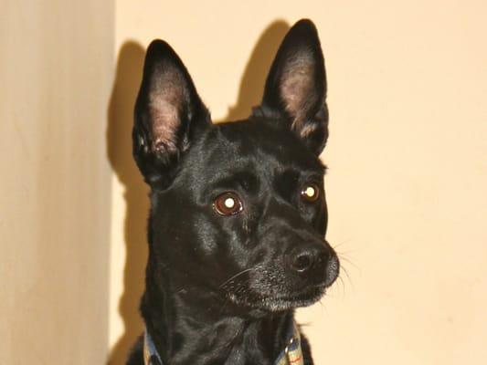 Kritter Keepers Club