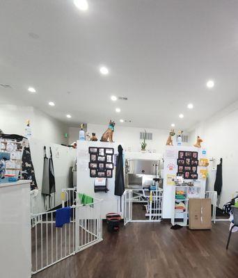 Doggy Cat Boutique