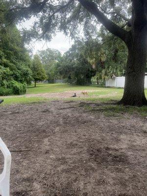 Carolyn Meeker Dog Park and Nature Trail