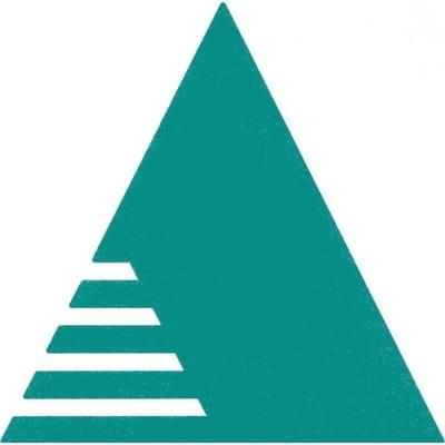 Michael P. Anzalone, CPA