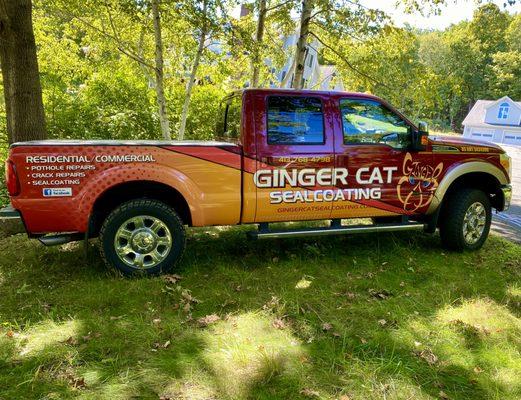 Ginger Cat Sealcoating