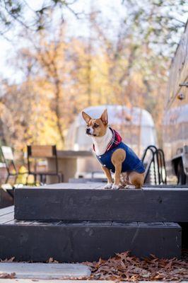 It was a nice Nov day