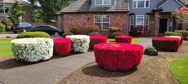 Green Magic Lawn Care Services