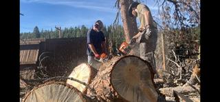 Blue Raven Building and Renovations