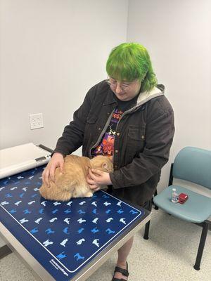 My cat gnocchi being so brave