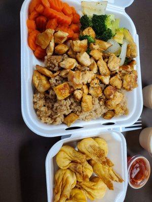 Japan Hibachi & Sushi Express