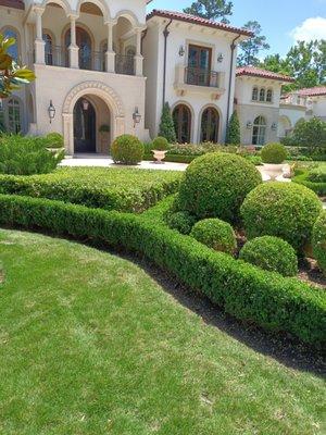 Hugo Tovar Landscaping
