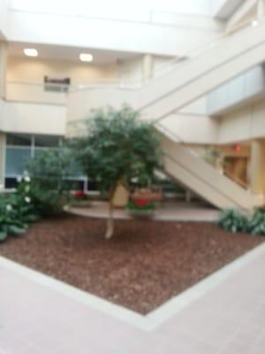 Somali Community Center of Nashville