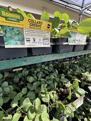 Swint's Feed & Garden Supply, Inc