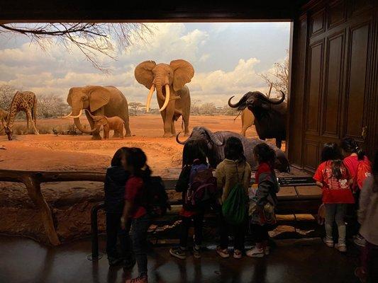 Field Elementary School