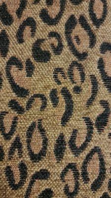 Cheetah Chairs Roar!