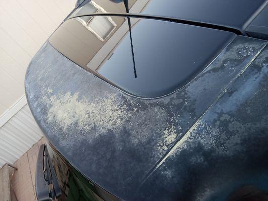 Rear window spoiler...Before