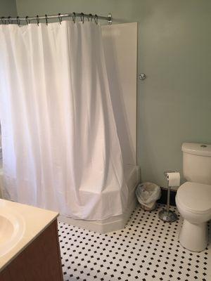Bathroom attached to the Meadow room.