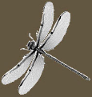 Artemis Design, Inc.