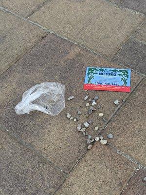 Santiago Tree Service