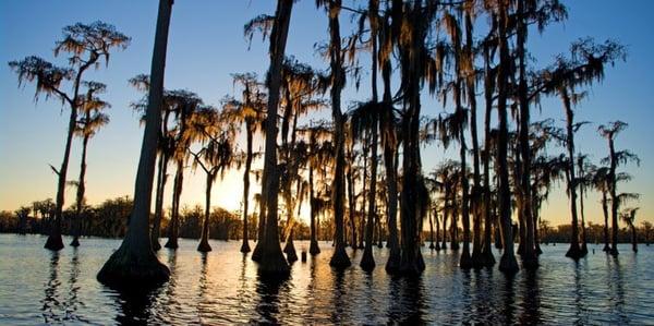 Plantation Properties & Land Investments