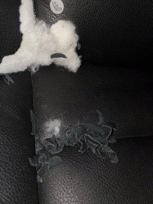 Atascocita Tire & Auto