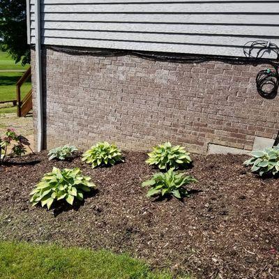 NEO Landscaping and Snow Removal