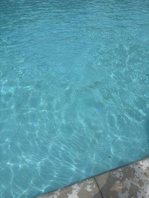 Vicksburg Country Club