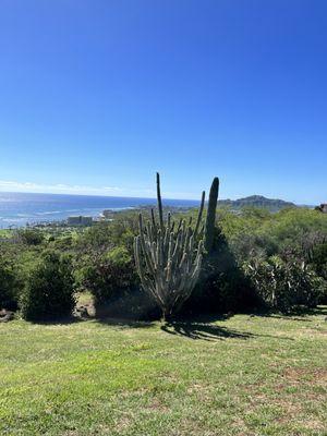 Laukahi Slope Mini Park
