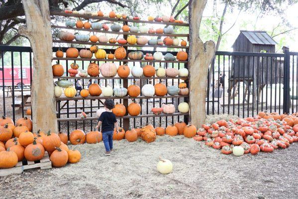 Indian Springs Ranch