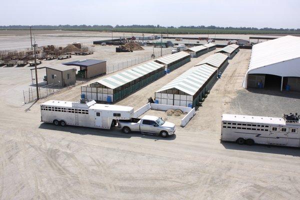 Temporary covered stalls can also be added for large scale events at the IAC Equestrian Center.