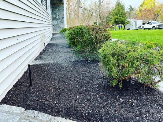 JJBM Landscaping & Tree Removal