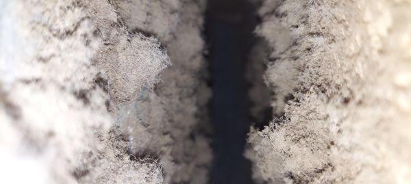 Zerorez of St. Louis