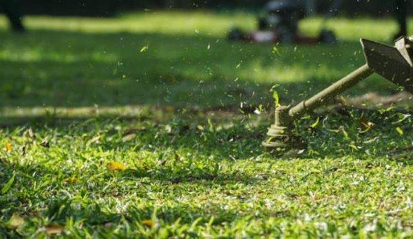 Leon Landscaping Maintenance