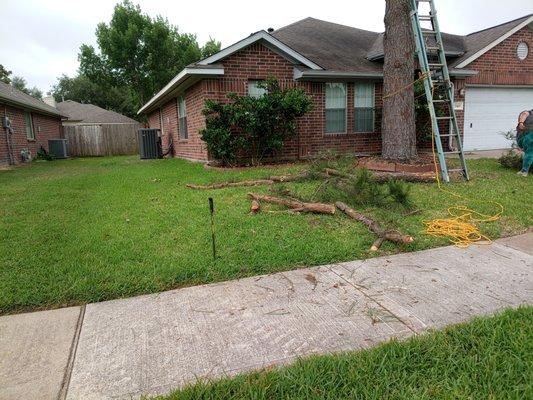 Soriano Multiservices