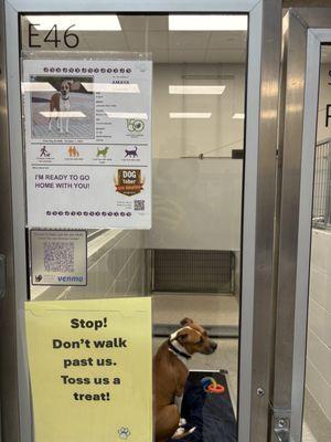 Nebraska Humane Society Spay/Neuter Center