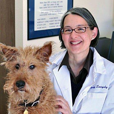 Fairhaven Veterinary Hospital