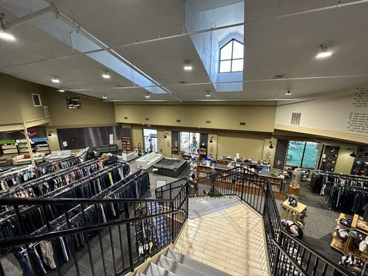 Thrifty Lizard - Auburn