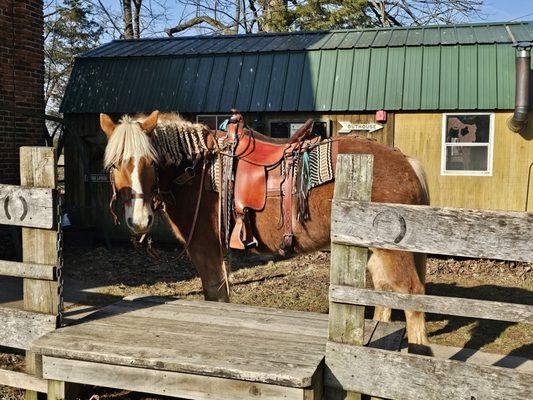 Nation Road Horse Rental