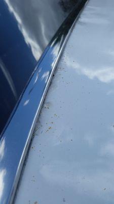 Lonestar Classic Motors