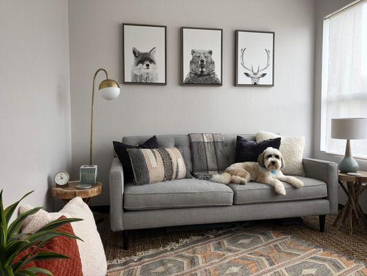 Integrative Wellness SF