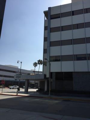 Producer's Guild of America.