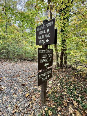 Accotink Bay Wildlife Refuge