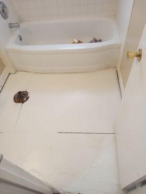 Handy Pro And Remodel