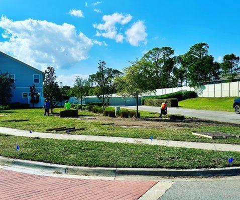 The Sod Lot of Casselberry