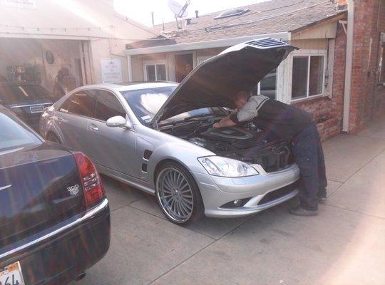 Fig Tree Auto Repair