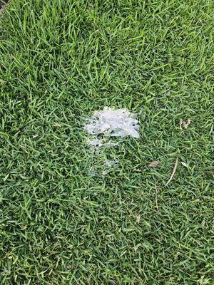 Air Around the Clock Appliance