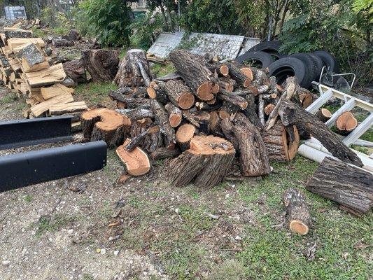 Torres Tree Service