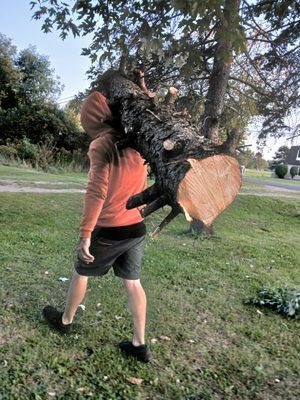 Over The Hedge Property Development Services