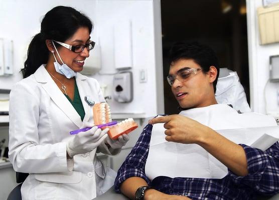 Martin J Schwartz, DDS